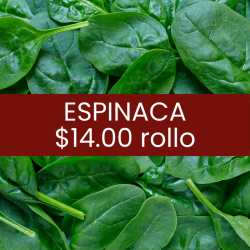 Espinacas (pieza)