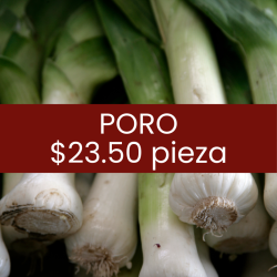 Poro