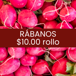 Rábanos