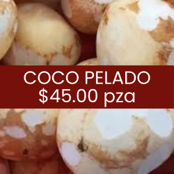 Coco pelado