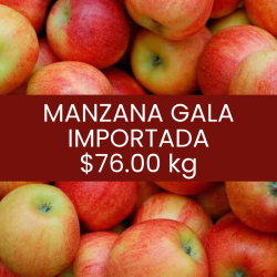 Manzana gala importada