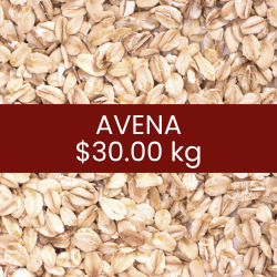Avena