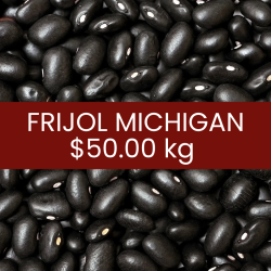 Frijol Michigan