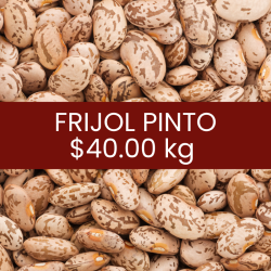 Frijol pinto
