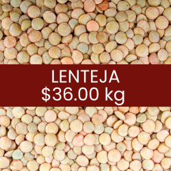 Lenteja