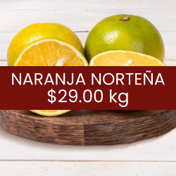 Naranja norteña