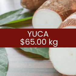 Yuca