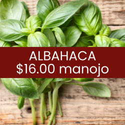 Albahaca (pieza)