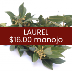 Laurel (pieza)
