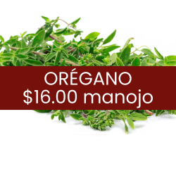 Orégano (pieza)