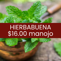 Hierbabuena (pieza)