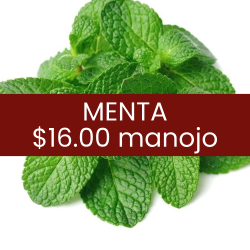 Menta (pieza)