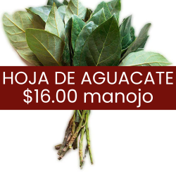 Hoja de aguacate (pieza)