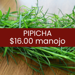 Pipicha (pieza)