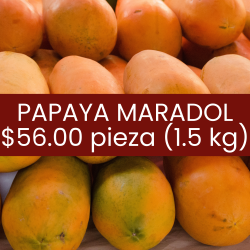 Papaya maradol pieza (1.5 kg)