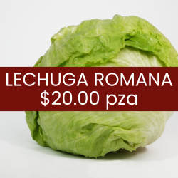 Lechuga romana (pieza)