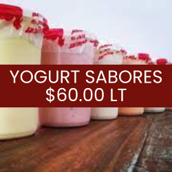 Yogurt de sabores artesanal