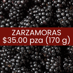 Zarzamoras (170 g)