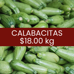 Calabacita italiana