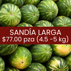 Sandía larga