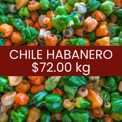 Chile habanero