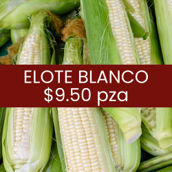 Elote blanco