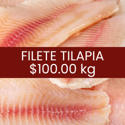Filete tilapia