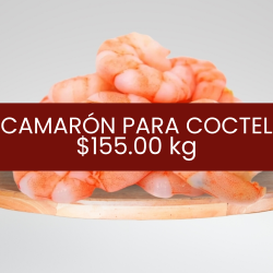 Camarón para coctel