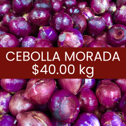 Cebolla morada