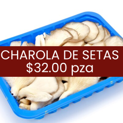 Charola de setas