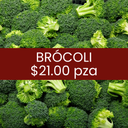 Brócoli