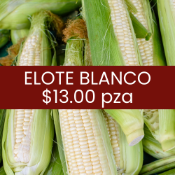Elote blanco