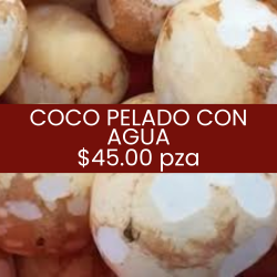 Coco pelado con agua
