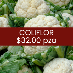 Coliflor