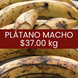Plátano macho