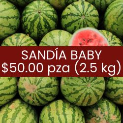 Sandía baby