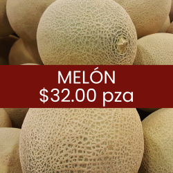 Melón