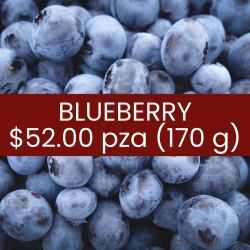 Blueberry (170 g)