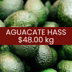 Aguacate Hass