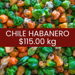 Chile habanero