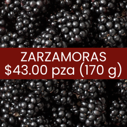Zarzamoras (170 g)