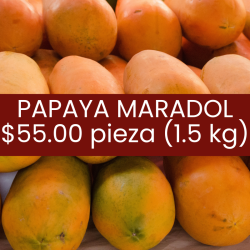Papaya maradol pieza (1.5 kg)