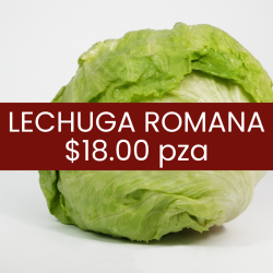Lechuga romana (pieza)