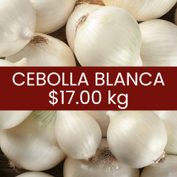 Cebolla blanca