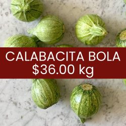 Calabacita bola