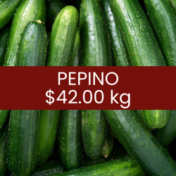 Pepino