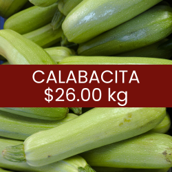 Calabacita italiana