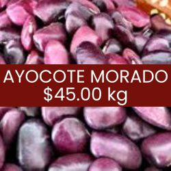 Ayocote morado