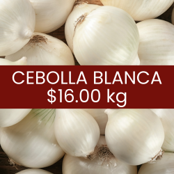 Cebolla blanca