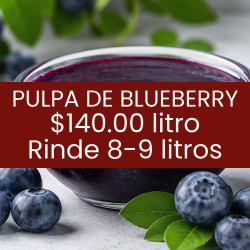 Pulpa de blueberry (litro)